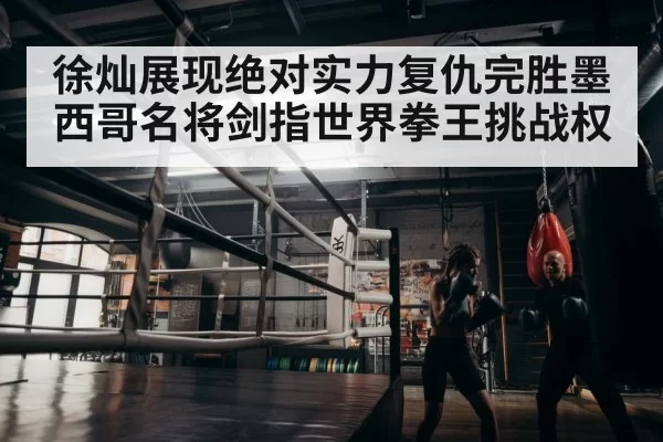 boxer training gym